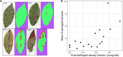 Changes in Tea Plant Secondary Metabolite Profiles as a Function of Leafhopper Density and Damage